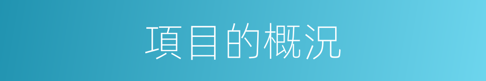 項目的概況的同義詞