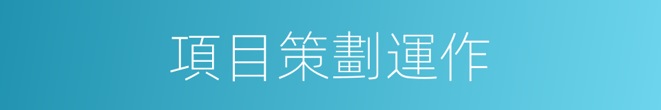 項目策劃運作的同義詞