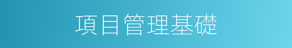 項目管理基礎的同義詞