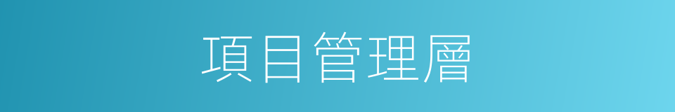 項目管理層的同義詞