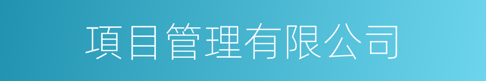 項目管理有限公司的同義詞