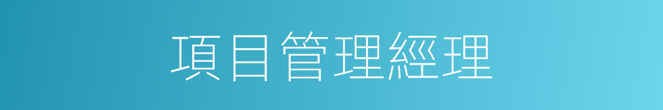 項目管理經理的同義詞