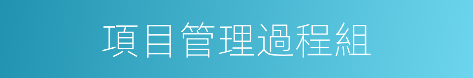 項目管理過程組的同義詞
