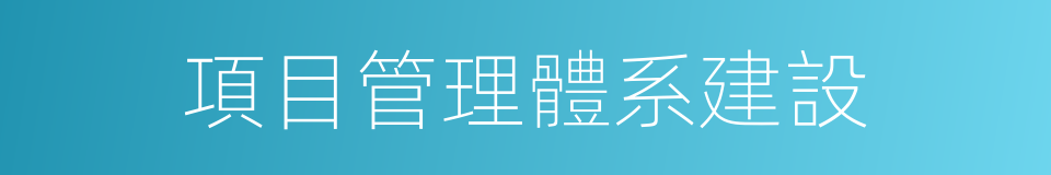 項目管理體系建設的同義詞