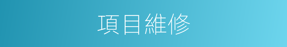 項目維修的同義詞