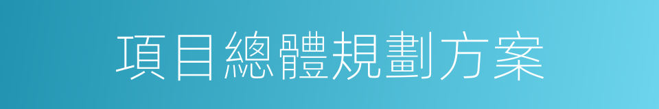 項目總體規劃方案的同義詞