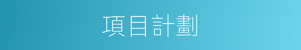 項目計劃的同義詞