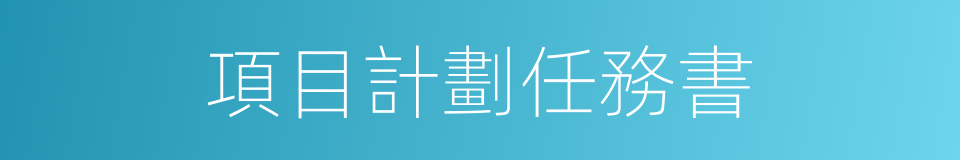 項目計劃任務書的同義詞