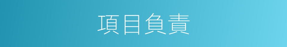 項目負責的同義詞