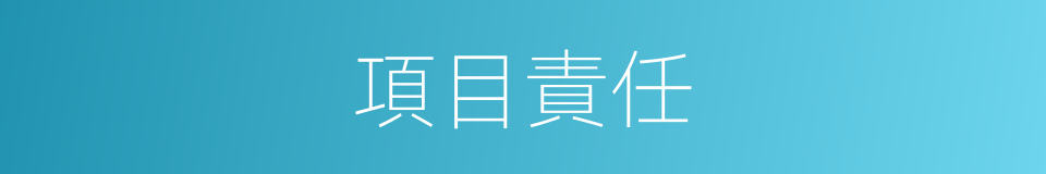 項目責任的同義詞