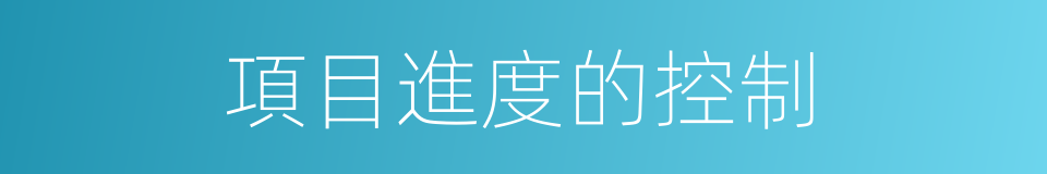 項目進度的控制的同義詞