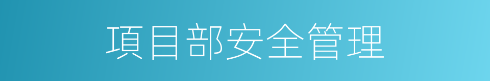 項目部安全管理的同義詞