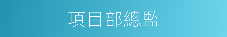 項目部總監的同義詞
