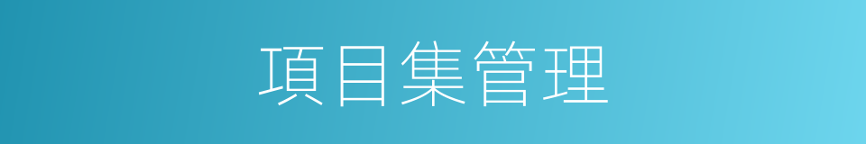 項目集管理的同義詞