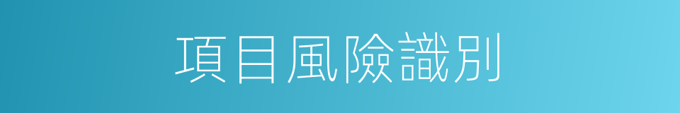 項目風險識別的同義詞