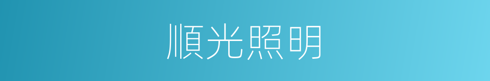 順光照明的同義詞