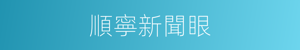 順寧新聞眼的同義詞