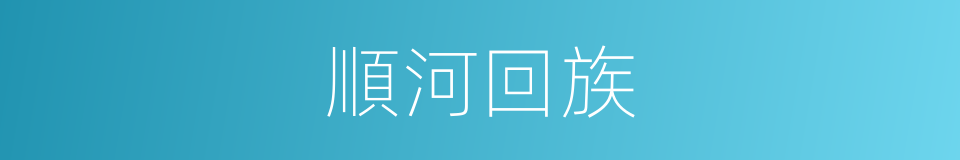 順河回族的同義詞