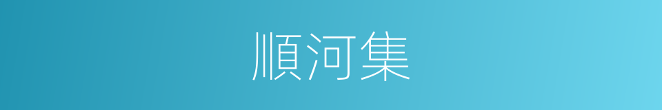 順河集的同義詞