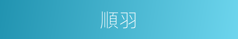 順羽的意思