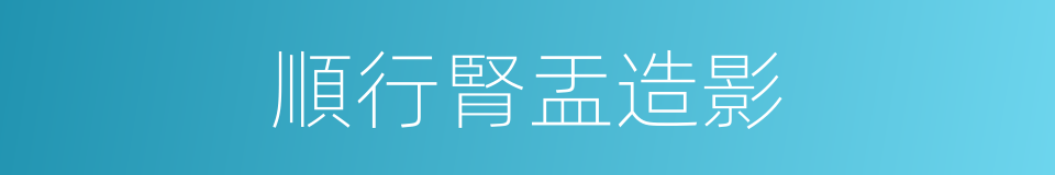 順行腎盂造影的同義詞