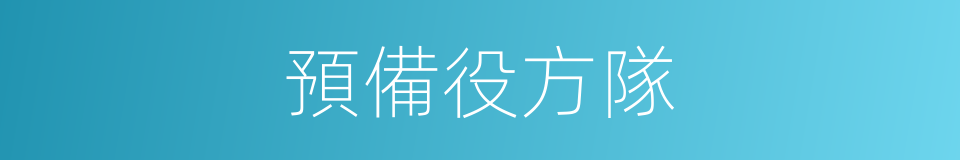 預備役方隊的同義詞