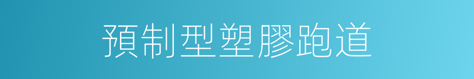 預制型塑膠跑道的同義詞