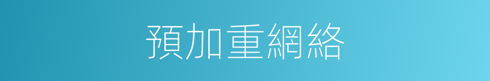 預加重網絡的同義詞