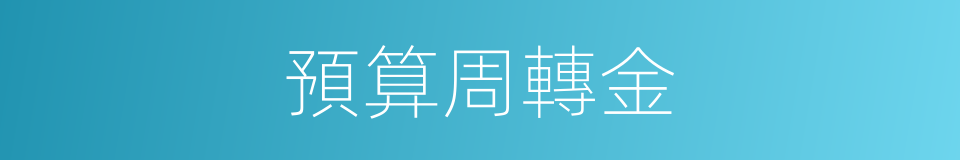 預算周轉金的同義詞