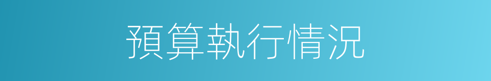 預算執行情況的同義詞