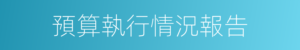 預算執行情況報告的同義詞
