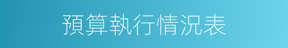 預算執行情況表的同義詞