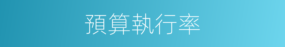 預算執行率的同義詞