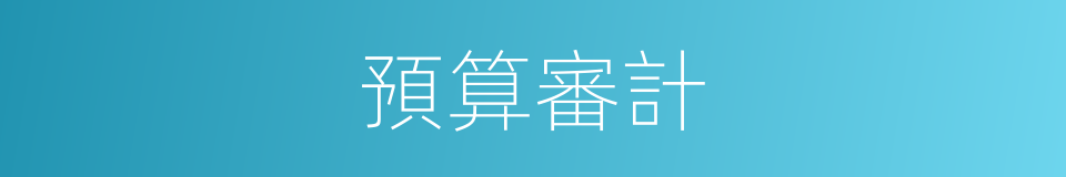 預算審計的同義詞