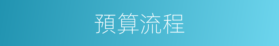 預算流程的同義詞