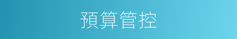 預算管控的同義詞
