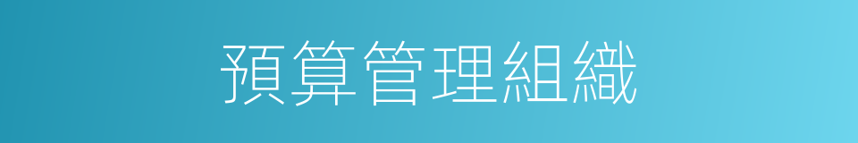 預算管理組織的同義詞