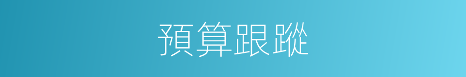 預算跟蹤的同義詞