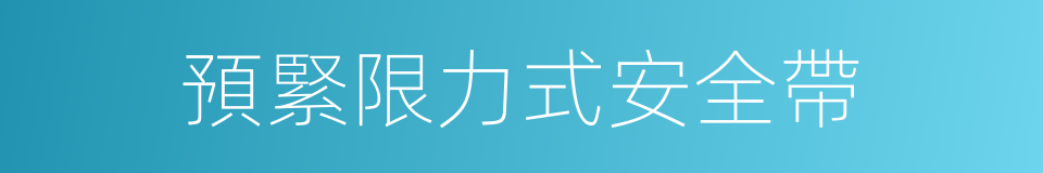 預緊限力式安全帶的同義詞