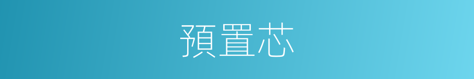 預置芯的同義詞