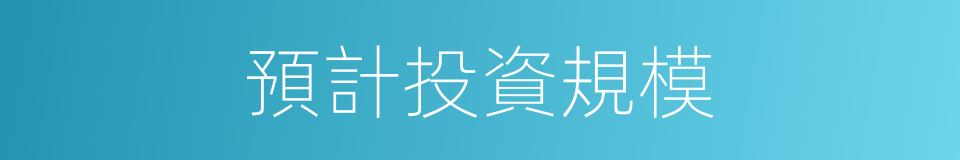 預計投資規模的同義詞