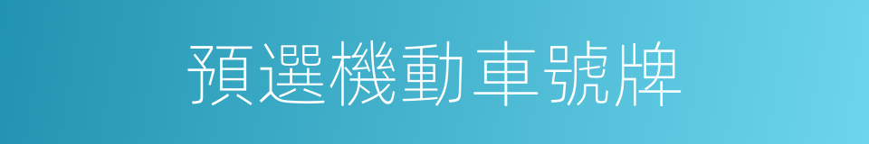 預選機動車號牌的同義詞