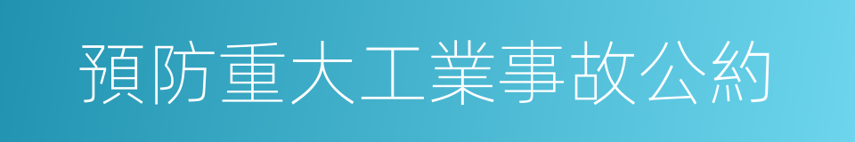 預防重大工業事故公約的同義詞
