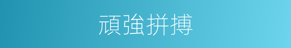 頑強拼搏的意思