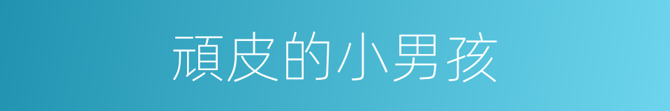 頑皮的小男孩的同義詞
