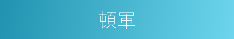 頓軍的意思