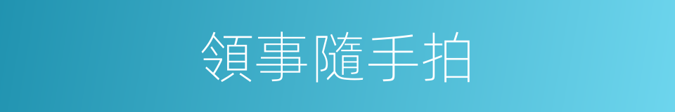 領事隨手拍的同義詞