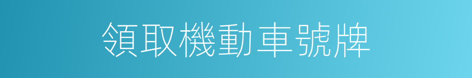 領取機動車號牌的同義詞