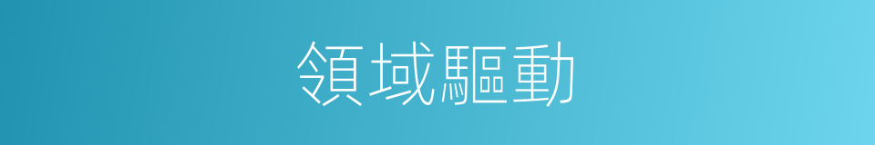 領域驅動的同義詞