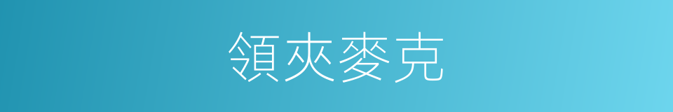 領夾麥克的同義詞